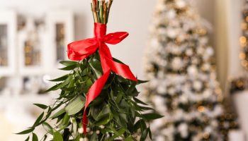 Do not bring mistletoe home before this date. You will bring bad luck upon yourself