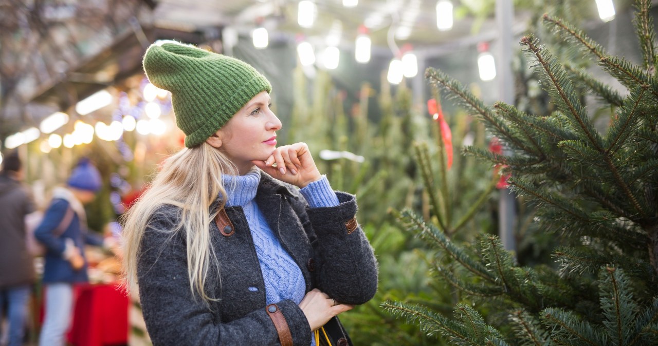 These are the best garden Christmas trees. They are beautiful and please the eye for years