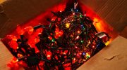 Few people know what this bulb in Christmas tree lights is for. It has an important function