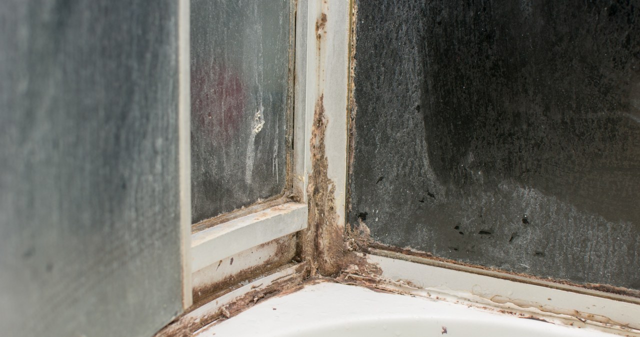 After lunch, use it to clean the cabin. The shower will be as good as new