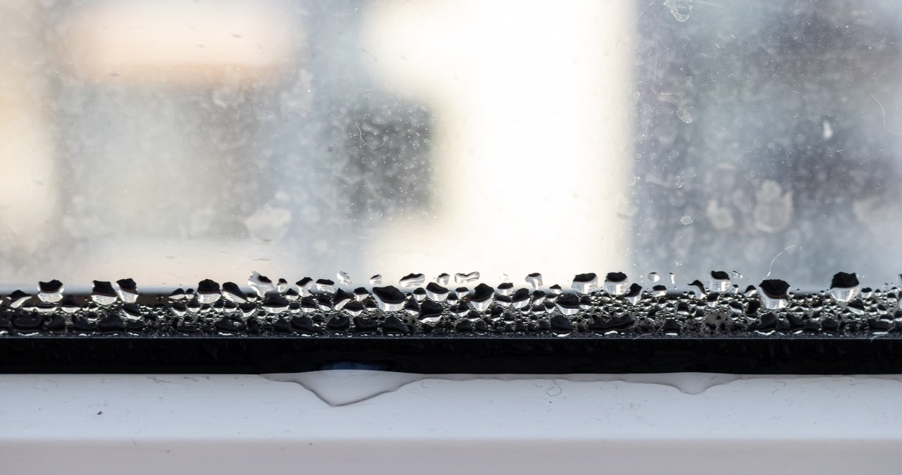 Instead of rice, put this in a bowl. Dampness in the house will only be a memory