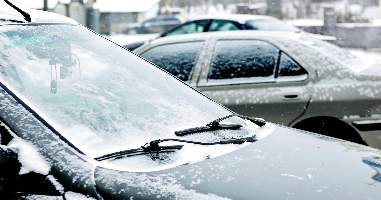 Instead of throwing it in the trash, take it to your car in winter. The effect will surprise you