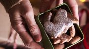 You can make these gingerbread cookies without baking. And only in fifteen minutes
