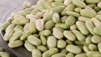 It comes from France, which is why it is called flagelet. Irreplaceable in a reducing diet, it is low in calories but high in protein