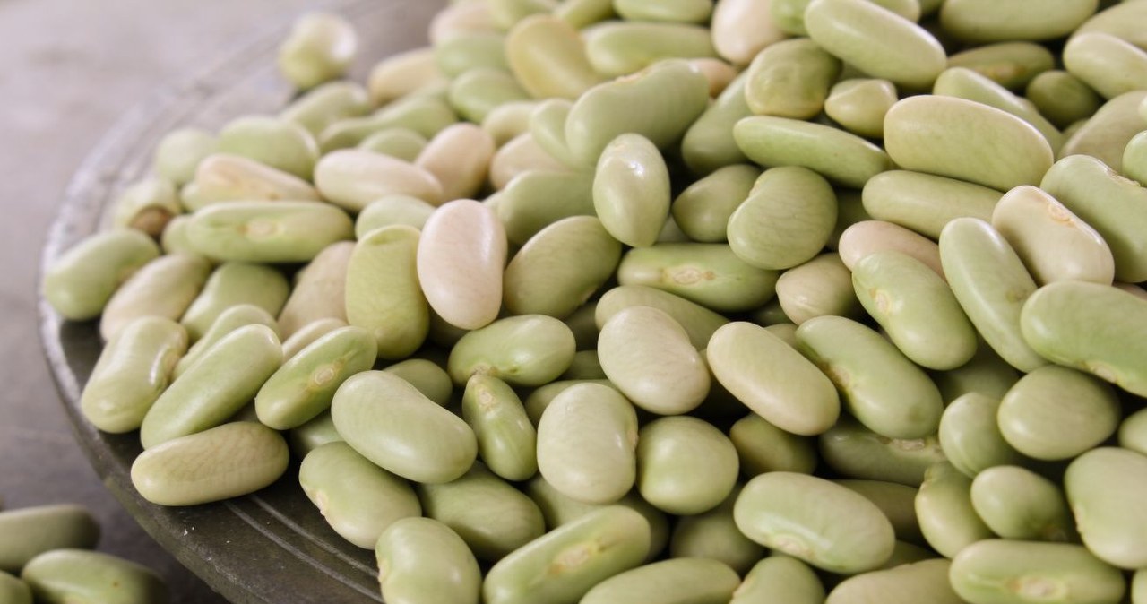 It comes from France, which is why it is called flagelet. Irreplaceable in a reducing diet, it is low in calories but high in protein