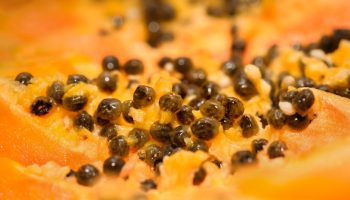 Fruits are full of vitamins, support digestion and lower cholesterol. Few people know that seeds can also be used