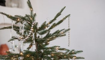 This is the most fashionable Christmas tree this year. Not everyone will like it