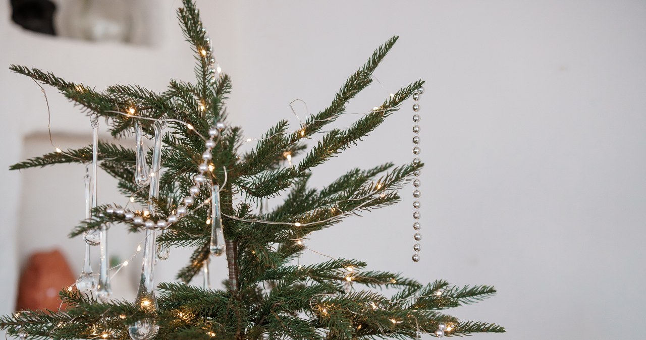 This is the most fashionable Christmas tree this year. Not everyone will like it