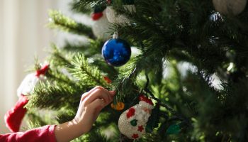 This color will transform your Christmas tree. It will gain a note of elegance and fantasy