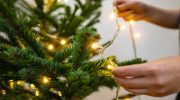 This is how you can repair Christmas tree lights. Your tree will shine with new shine