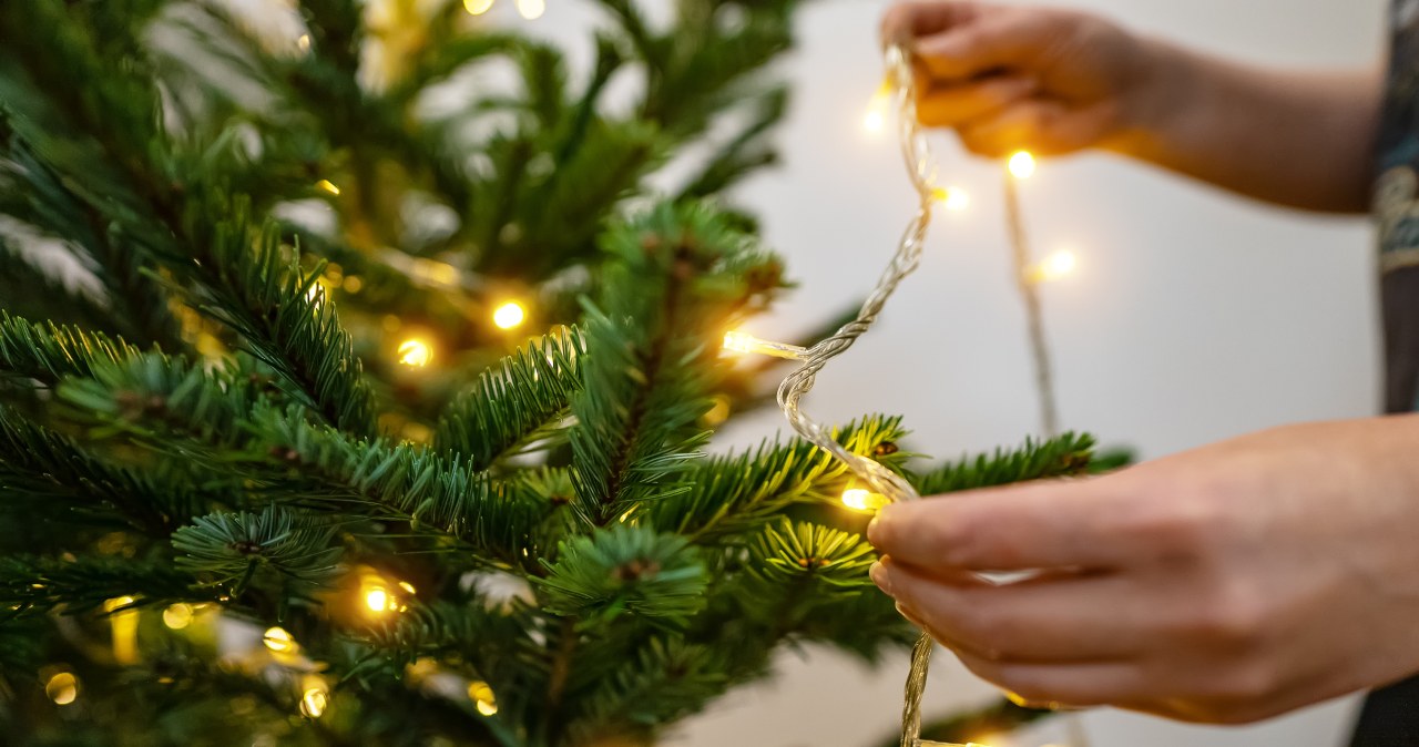 This is how you can repair Christmas tree lights. Your tree will shine with new shine