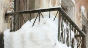 Do you keep food on the balcony on cold days? Be careful, it may cost you your health