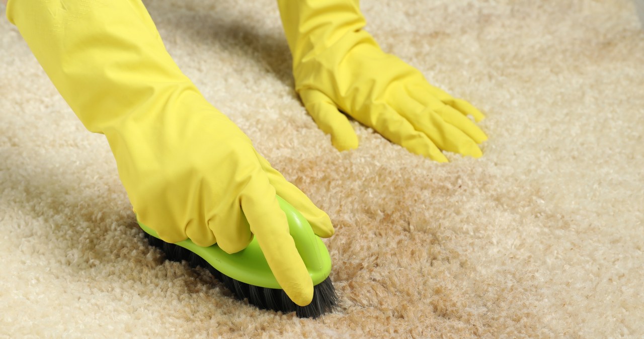 You don't have to wash the carpets. Sprinkle them with this and they'll be good as new by Christmas