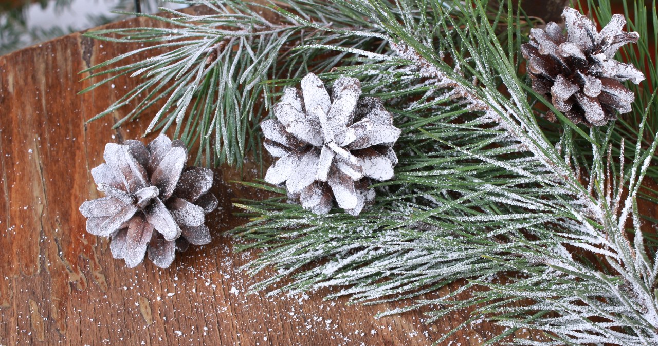 Winter decoration for pennies is causing a sensation on the Internet. You only need 2 ingredients