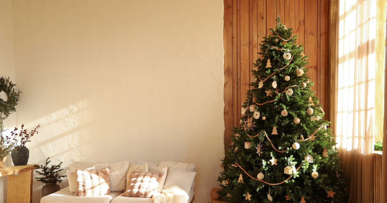 Dissolve it in water and water the Christmas tree. It will stay until February