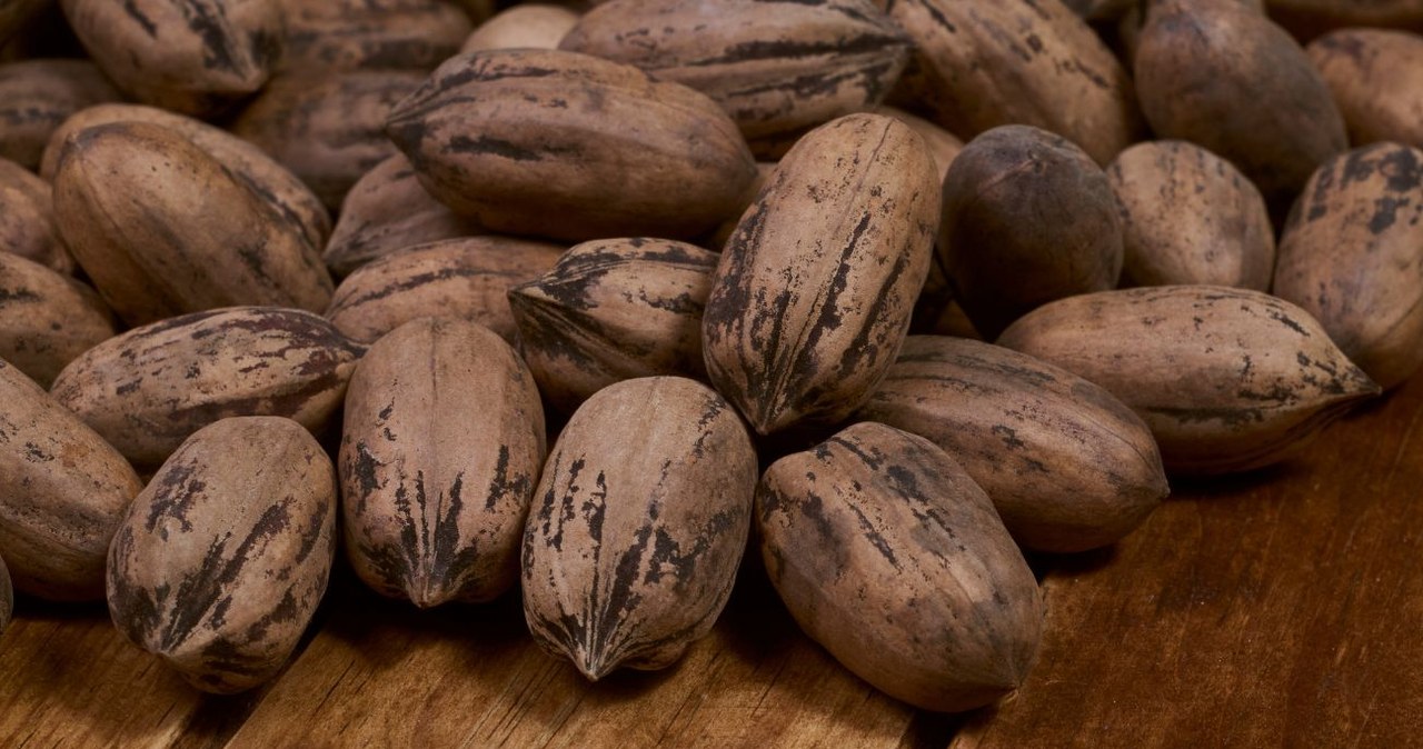 They are healthy and we choose others. Eat a few every day, your heart will work well and your memory will improve