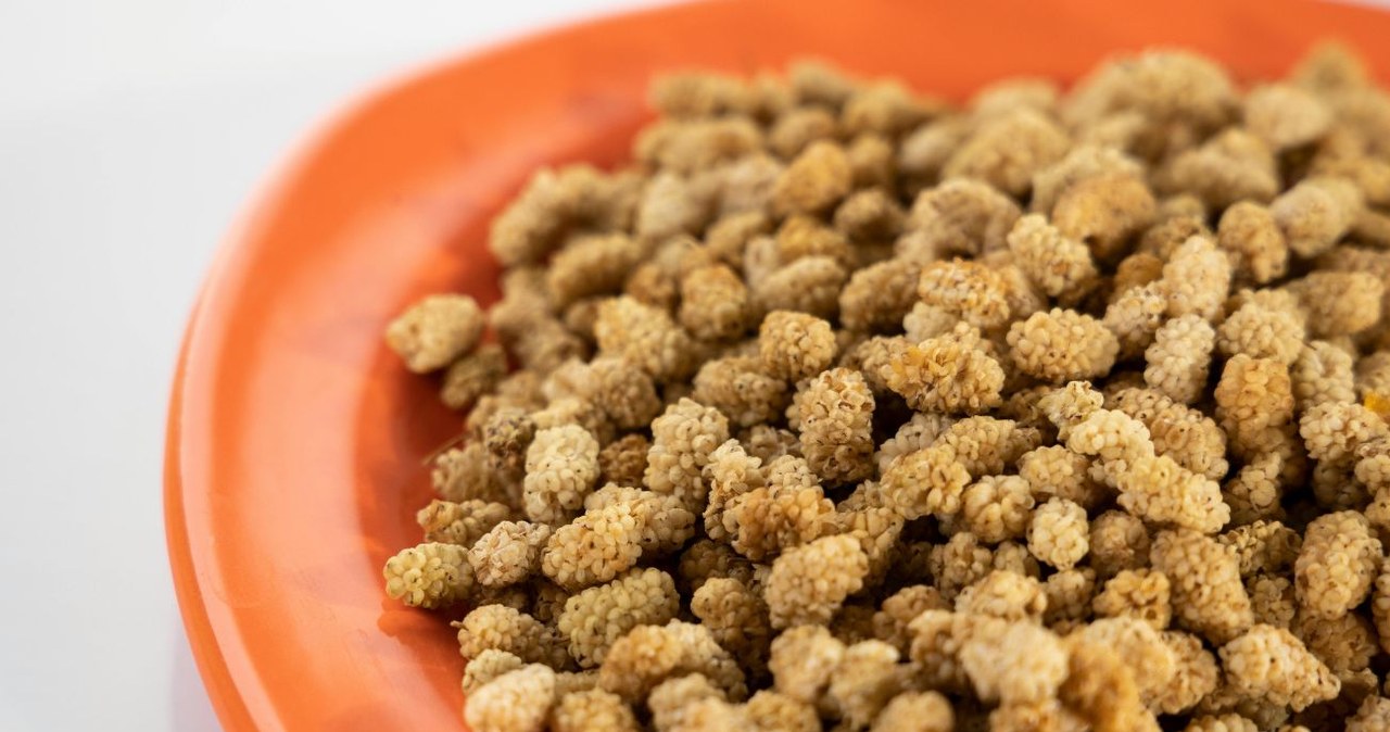 We have bunches of them, but we rarely eat them or use them in the kitchen. It's a pity, because it has good effects on sugar levels, heart and bones