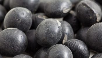 Only goodness enclosed in small seeds. It has a lot of protein, it is like salvation for the heart and bones