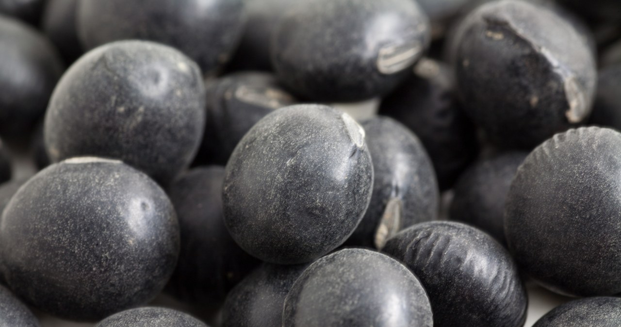 Only goodness enclosed in small seeds. It has a lot of protein, it is like salvation for the heart and bones