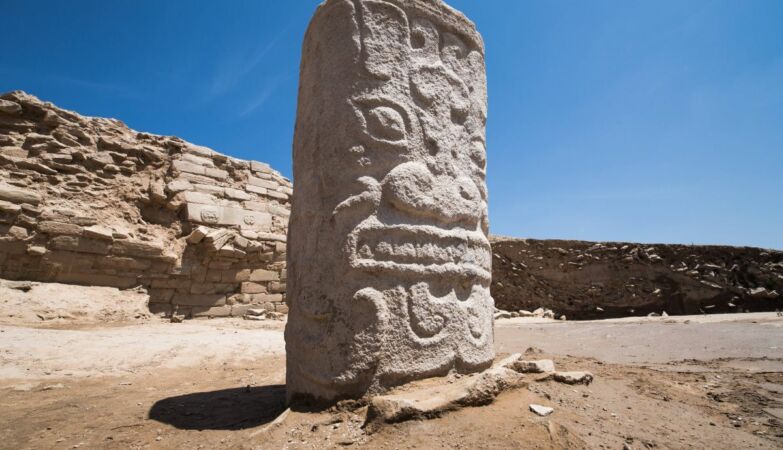 80 heads found in “skull pit” in ancient Chinese city suggest discriminatory ritual