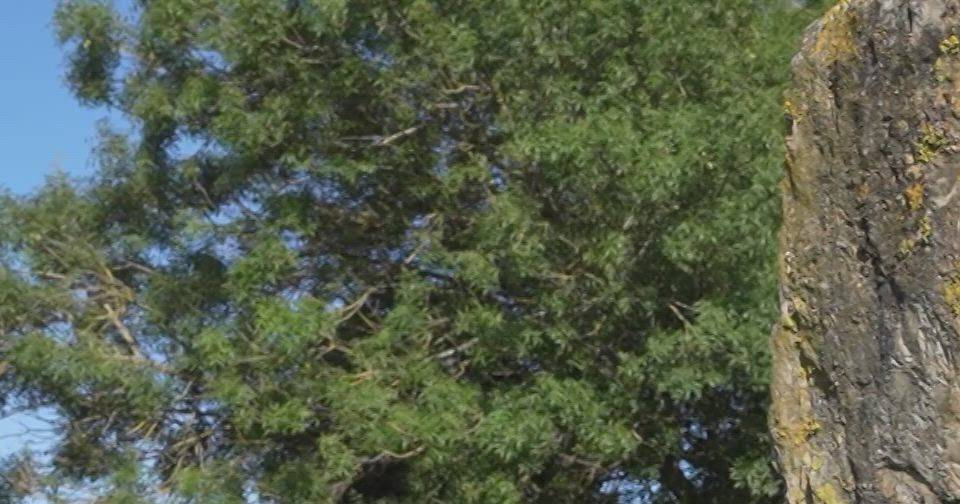 Closing of the CG Economistas season