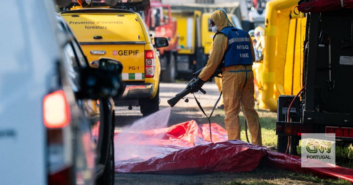 African swine fever returned to Spain after three decades and is already having an impact in Portugal. Why is it so serious and how is it affecting national producers