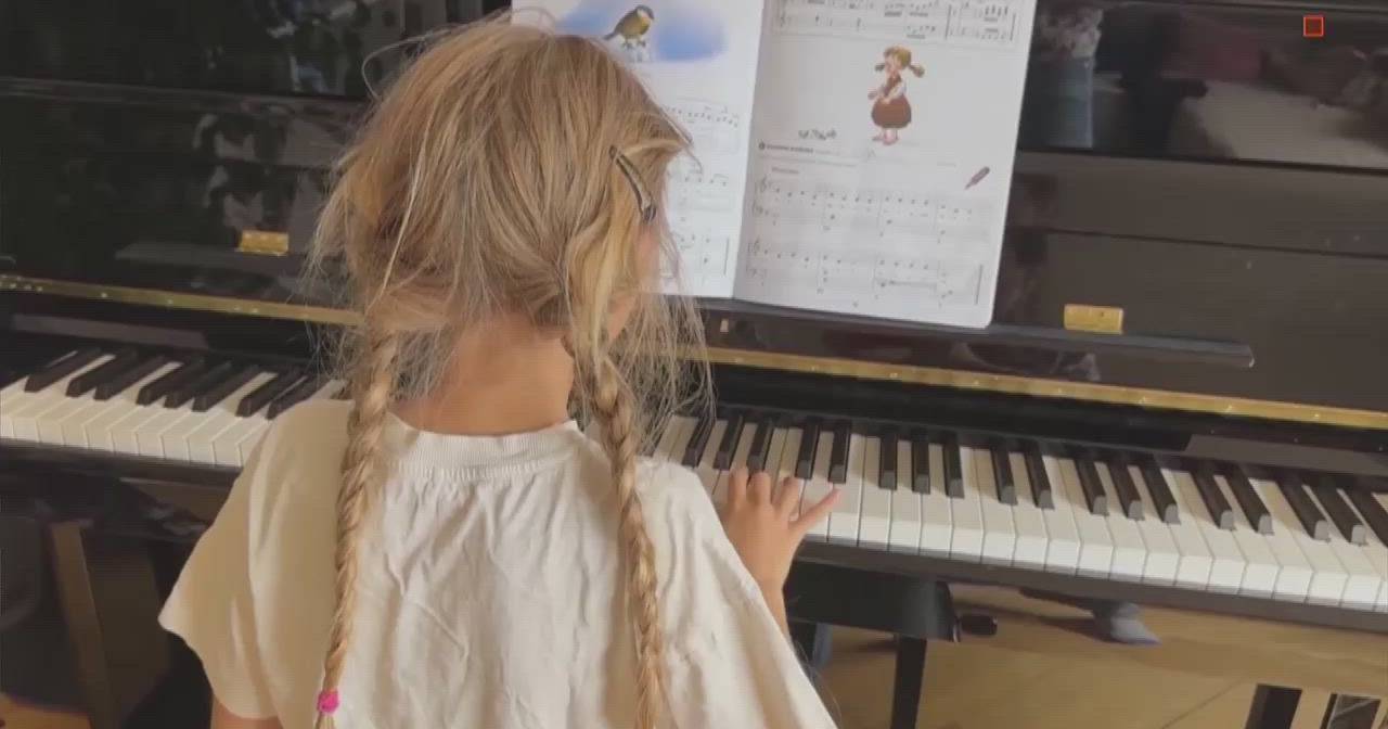 Fine of up to 300 euros for playing instruments at home? Slovenia changes law and receives criticism