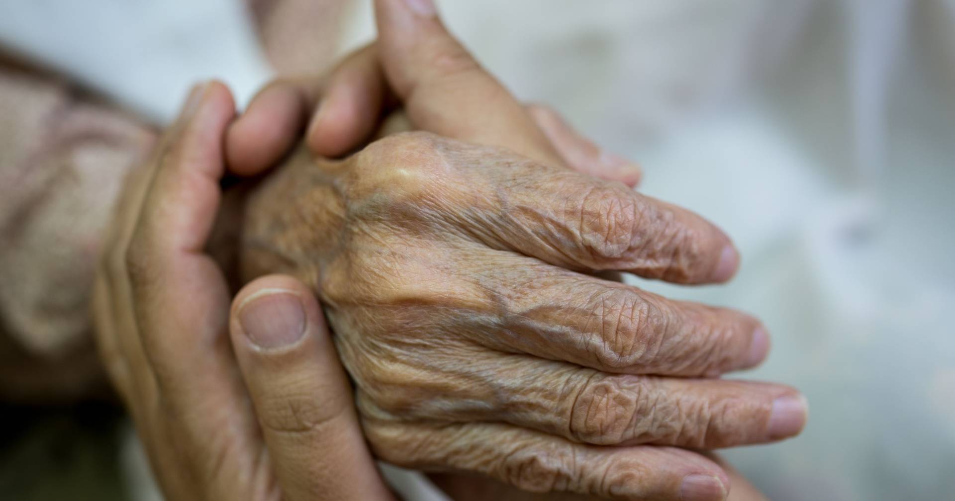 Missing elderly woman: dozens of volunteers mobilized to try to find the 84-year-old woman