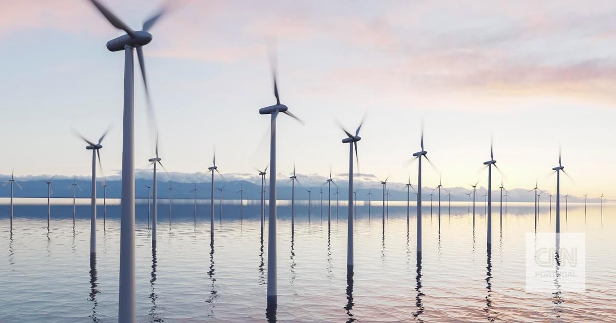 US federal judge overturns Trump order suspending wind farms