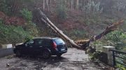 Depression Emília passes through Madeira and leaves signs fallen, trees uprooted and more than 100 flights canceled