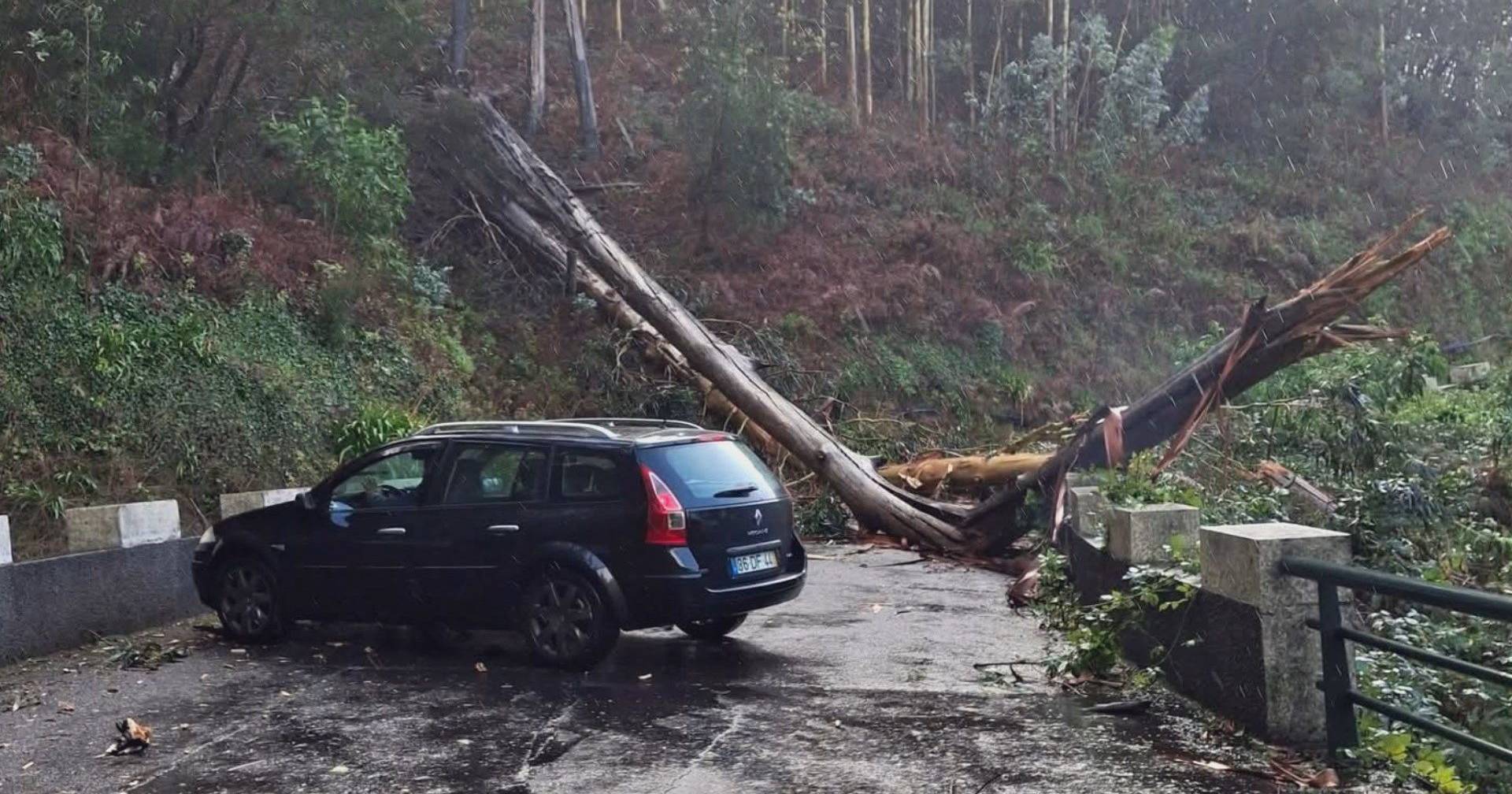 Depression Emília passes through Madeira and leaves signs fallen, trees uprooted and more than 100 flights canceled