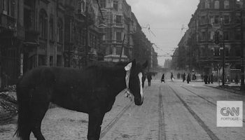 "Where's Hitler?": Untouchable Twisters (episode 7)