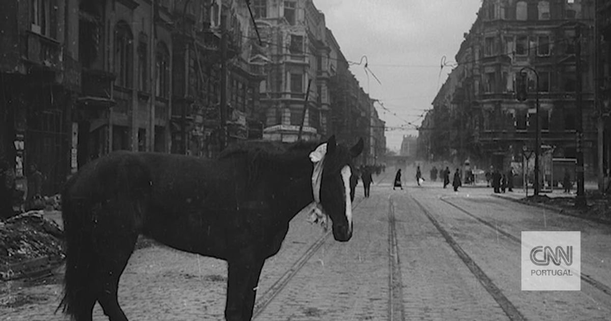 "Where's Hitler?": Untouchable Twisters (episode 7)