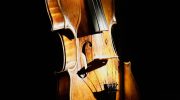 Rare "Del Gesú" violin sold at auction for 2.3 million euros in Paris