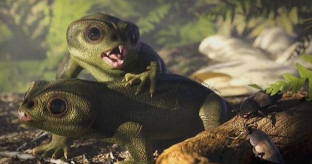 The youngest rhynchosaurus ever identified is discovered in Brazil