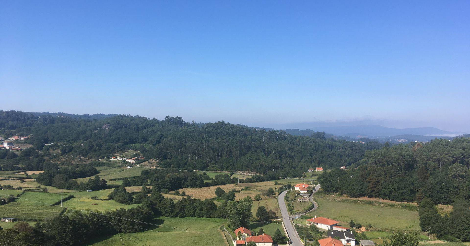 It is urgent that positive and immediate measures be taken