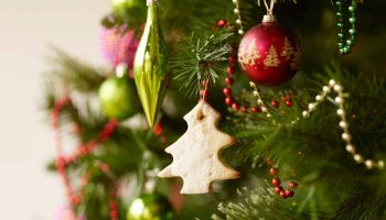 Hotels in the Algarve register greater demand this Christmas
