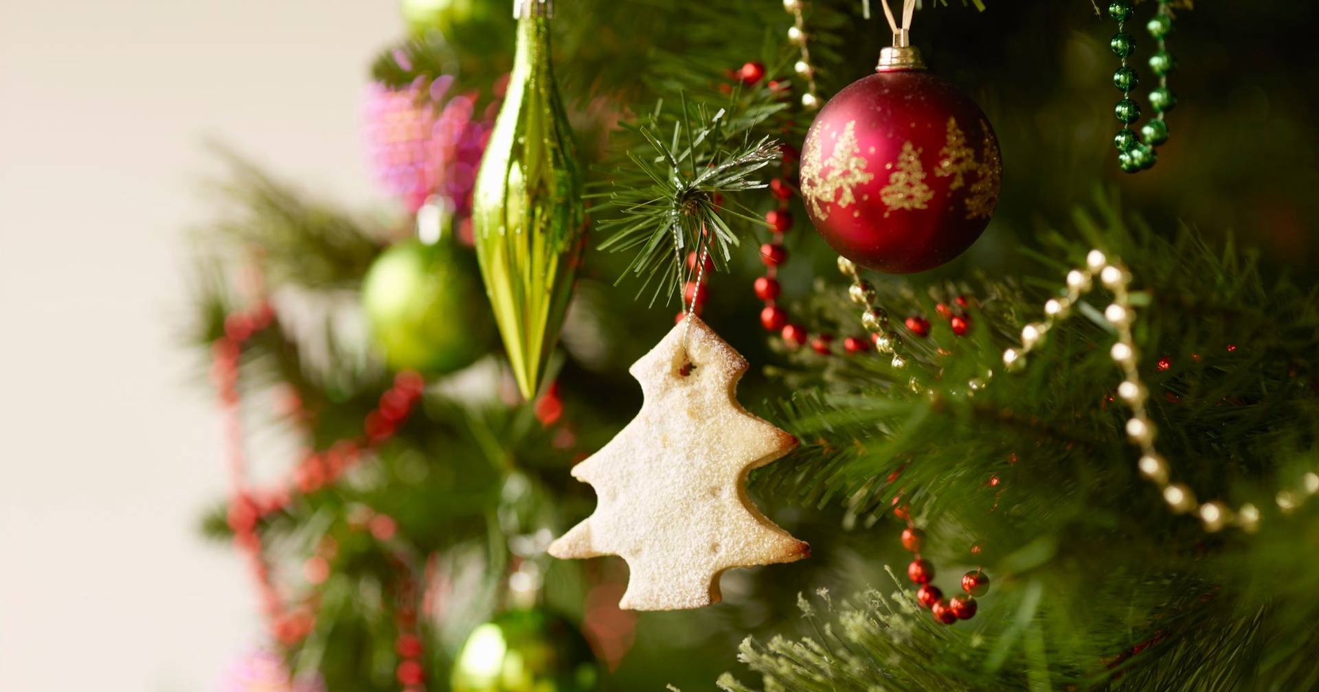 Hotels in the Algarve register greater demand this Christmas