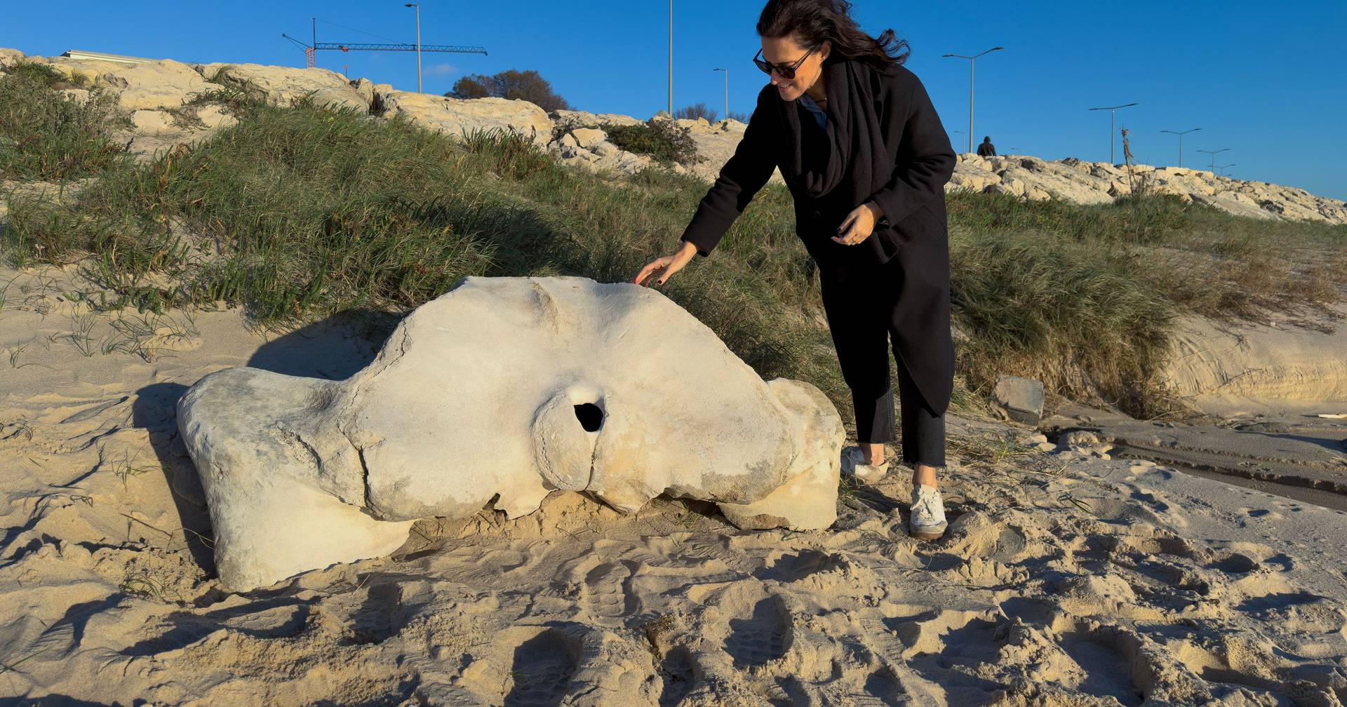 Whale bone thousands of years old discovered on Buarcos beach in Figueira da Foz
