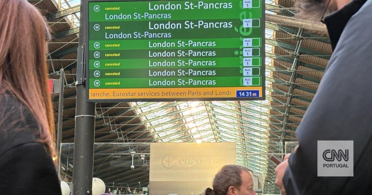 Chaos in England and France: network problem suspends all Eurotunnel connections