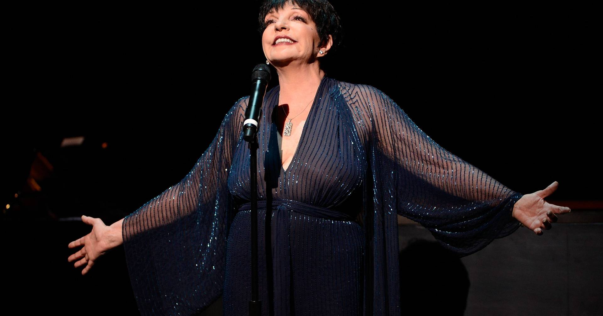 From Michael Jackson to Liza Minnelli: musicals and biographies among the main premieres of 2026