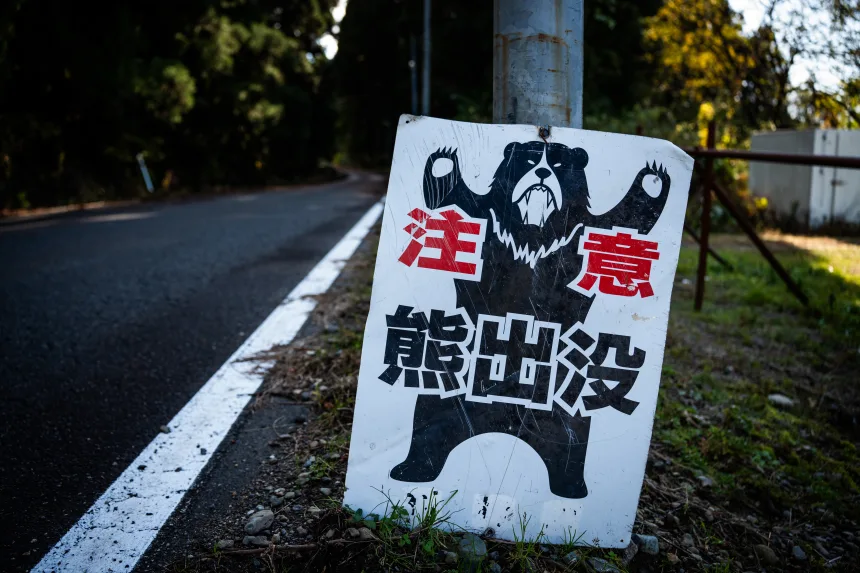 These bears and these humans cannot coexist. And things are getting deadly