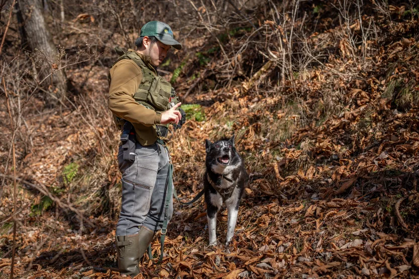 These bears and these humans cannot coexist. And things are getting deadly