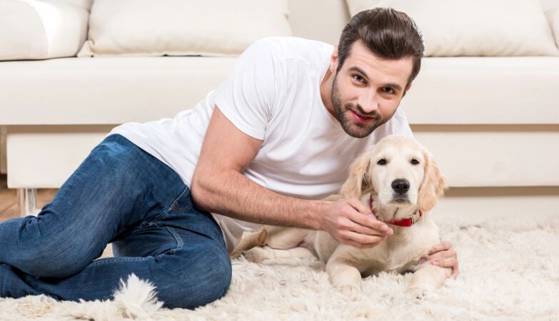 Anxiety and intelligence: golden retrievers and humans share genes