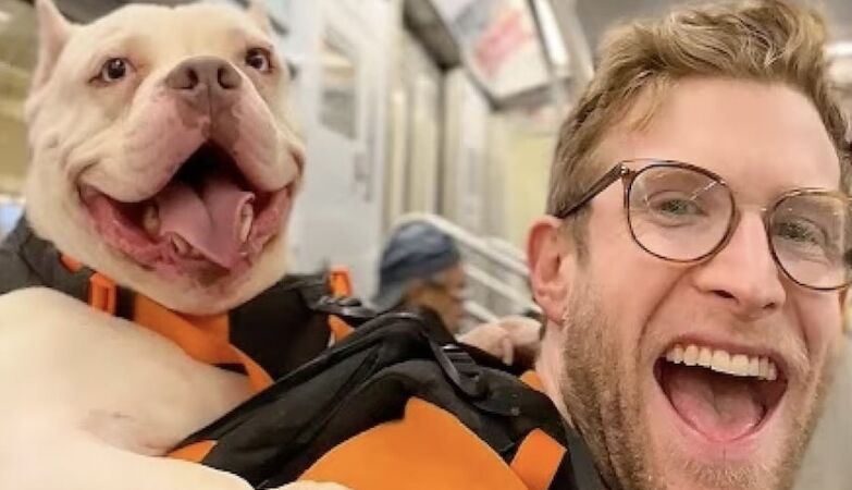 Bryan rides piggyback dogs through the streets trying to get someone to adopt them. And you can