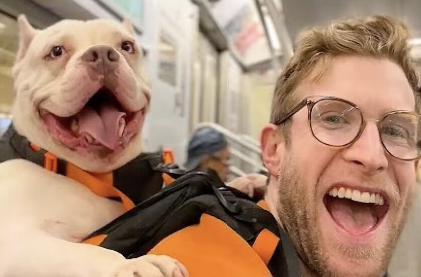 Bryan rides piggyback dogs through the streets trying to get someone to adopt them. And you can