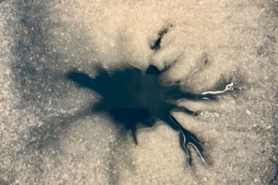 A gigantic black “spider” suggests the presence of life on Europa