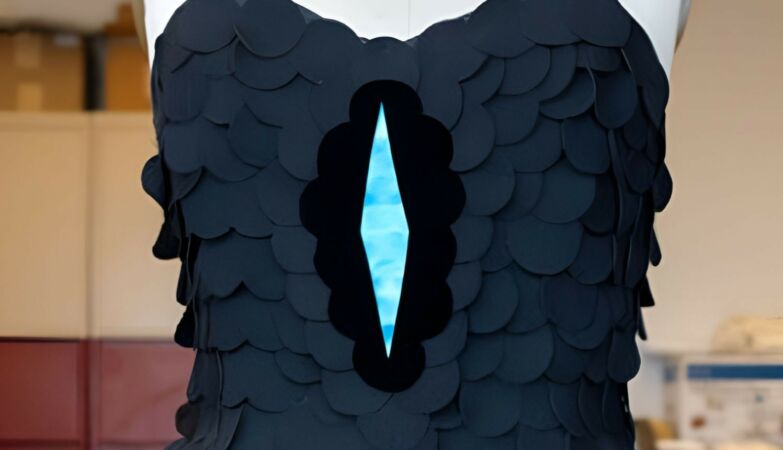 Created the blackest fabric ever. Bird served as inspiration