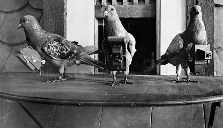“Pigeons take photographs as they fly.” They were the first “drones”, in 1908