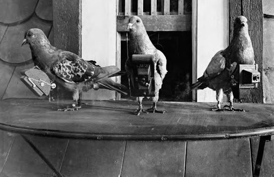 “Pigeons take photographs as they fly.” They were the first “drones”, in 1908